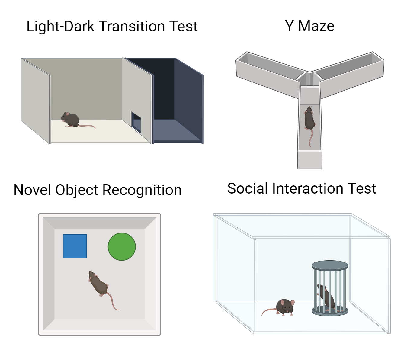 Behavioral Tests