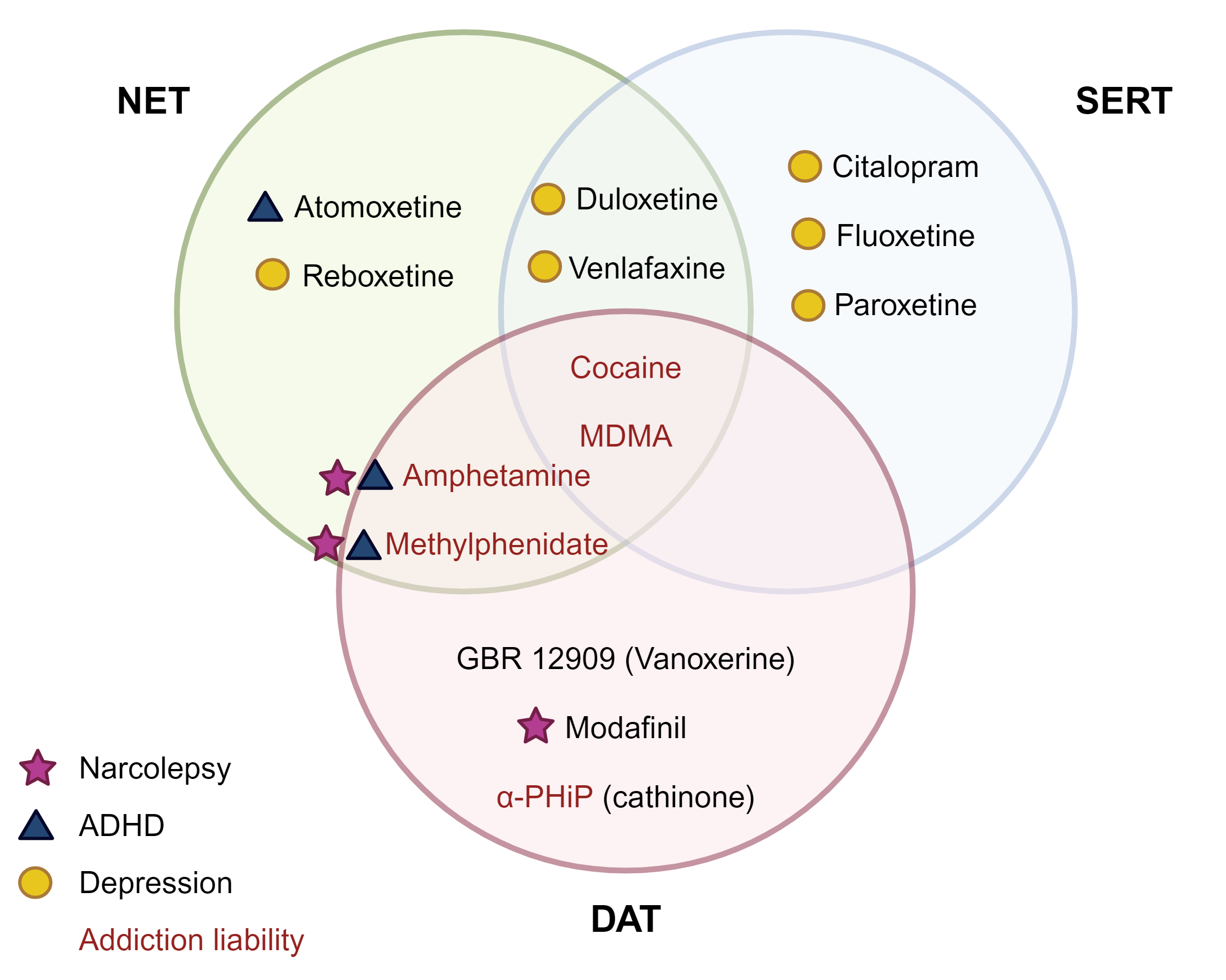 Pharmacology of Transporter Blockers