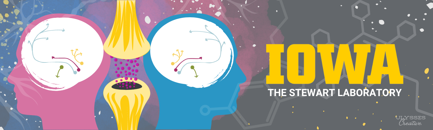 Stewart Lab Header